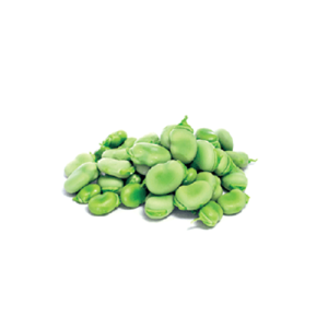 باقلا منجمد ۴۰۰ گرم